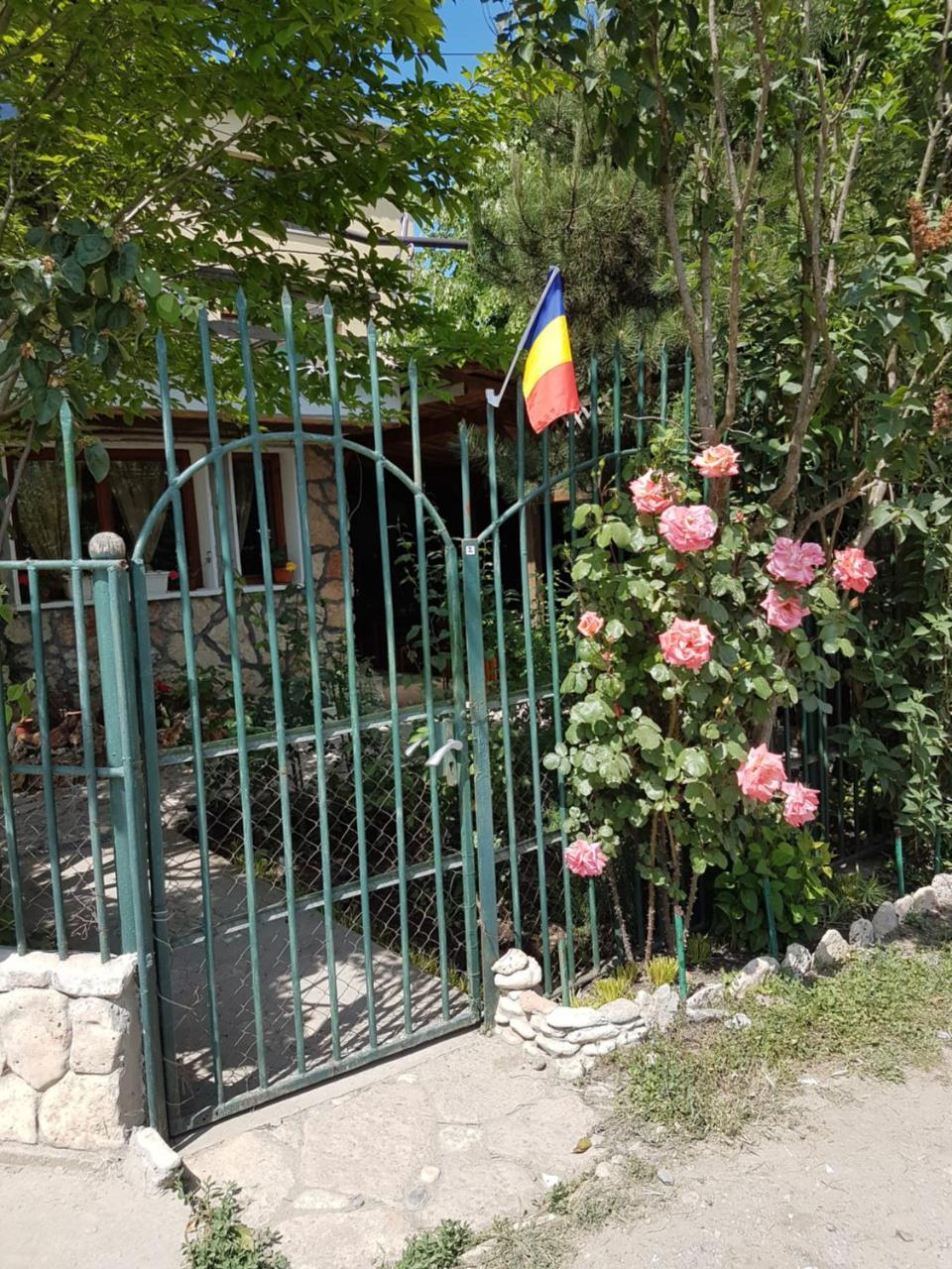 فندق Casa Nikita فاما فيكي المظهر الخارجي الصورة
